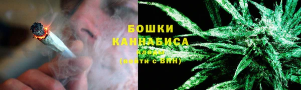 амф Арсеньев