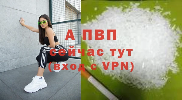 амф Арсеньев