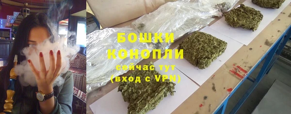 амф Арсеньев