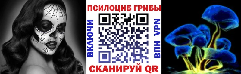 цены наркотик  Удомля  Псилоцибиновые грибы Psilocybe 
